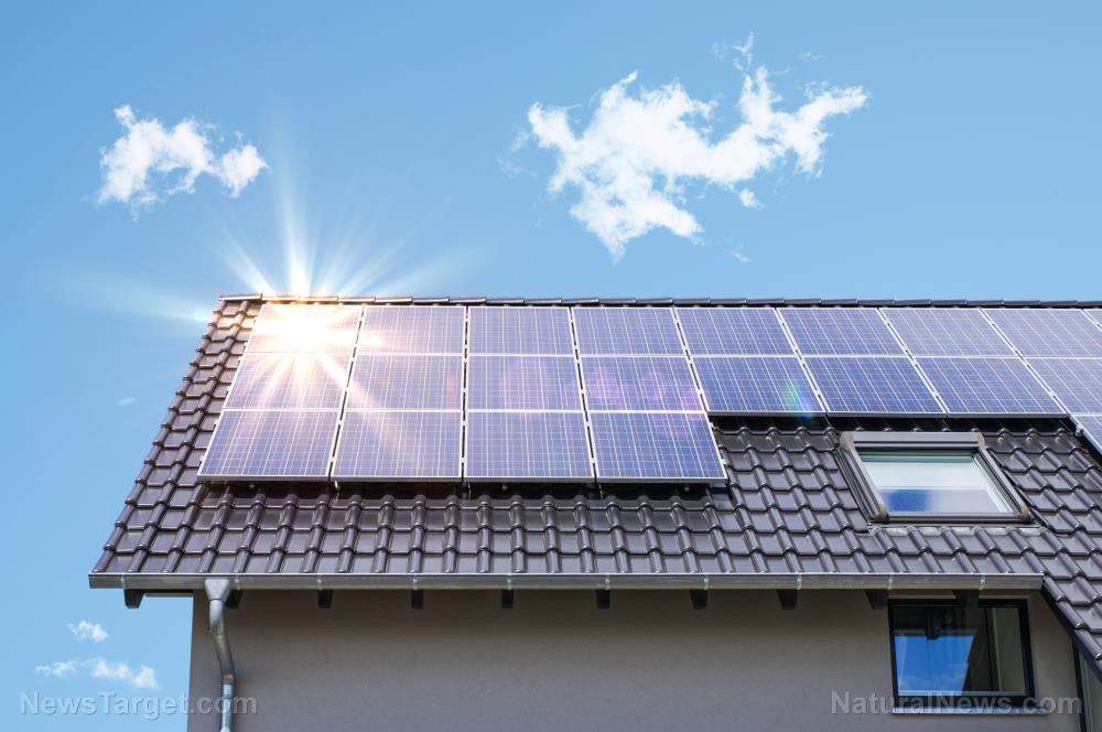 With Big Solar on the rise, experts fear that the world could be facing a solar panel waste problem. In 2019 alone, solar panel producers worldwi